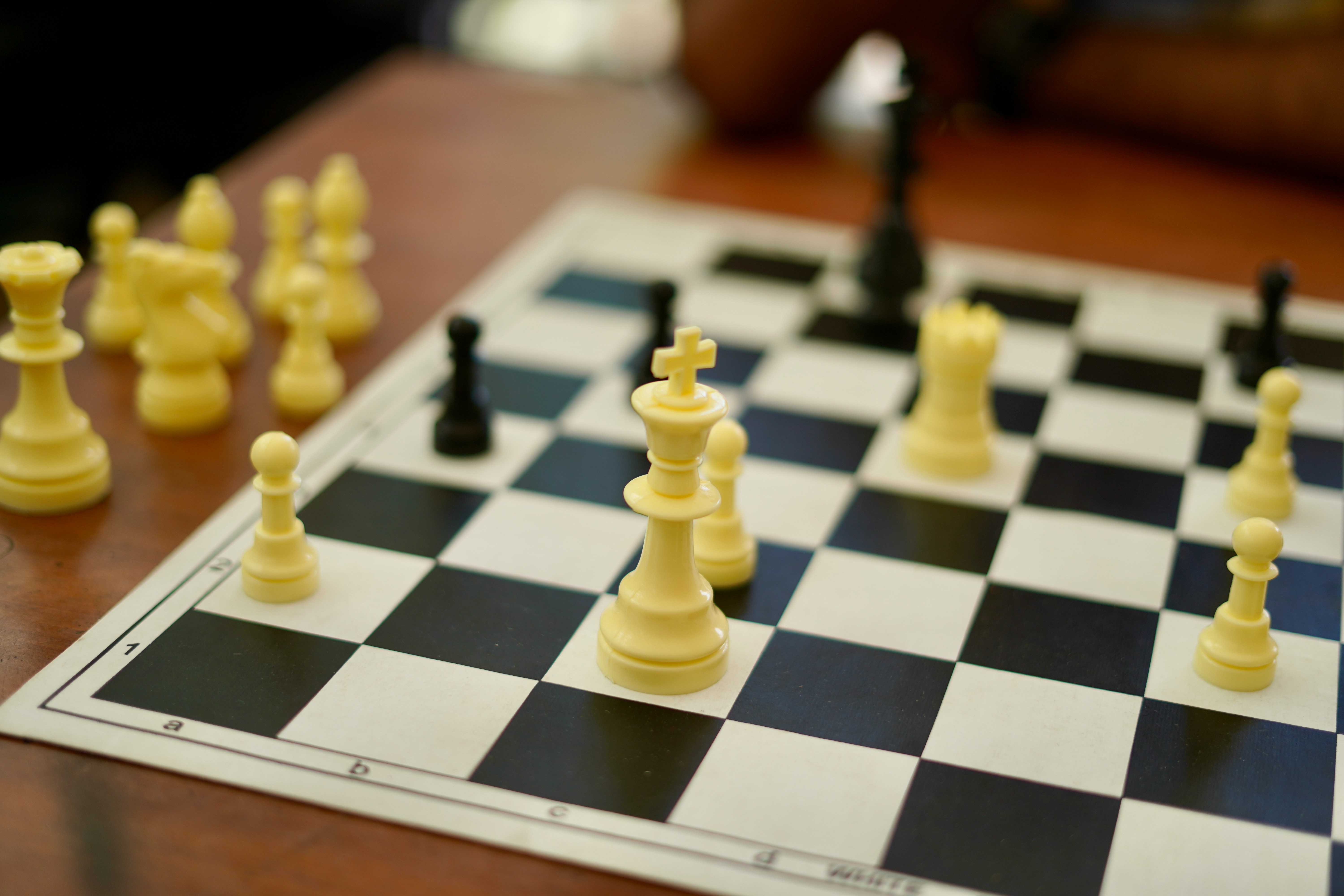 Sudbury Chess Club meeting